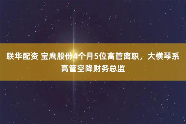联华配资 宝鹰股份4个月5位高管离职，大横琴系高管空降财务总监