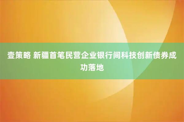 壹策略 新疆首笔民营企业银行间科技创新债券成功落地