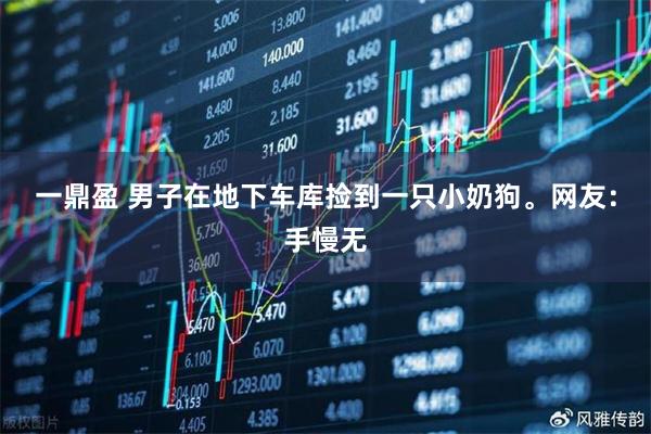 一鼎盈 男子在地下车库捡到一只小奶狗。网友：手慢无