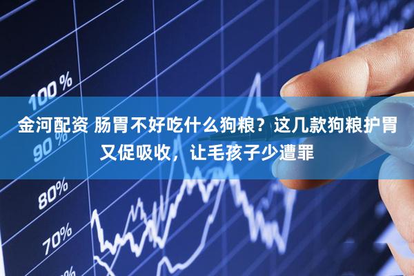 金河配资 肠胃不好吃什么狗粮？这几款狗粮护胃又促吸收，让毛孩子少遭罪